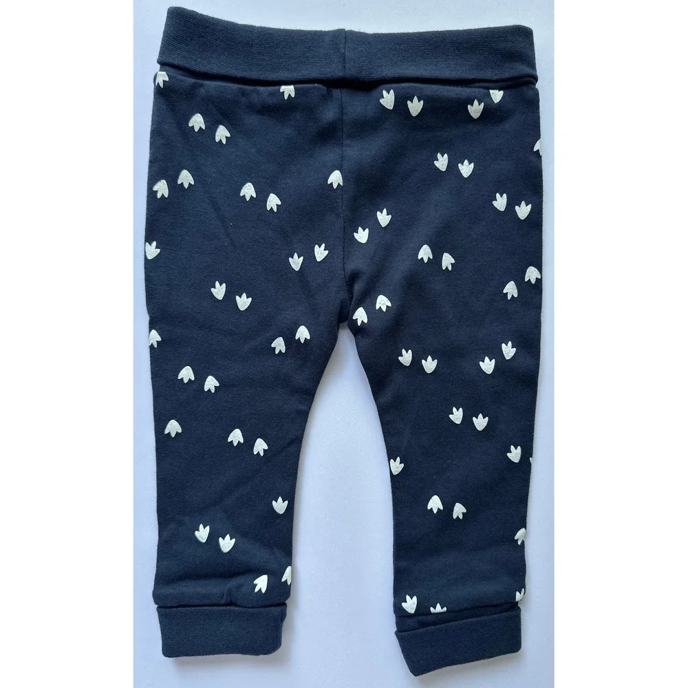 Petit Lem's Mini Threads Baby Dinosaur Print 2pc Organic Cotton Set Size 9mo‎